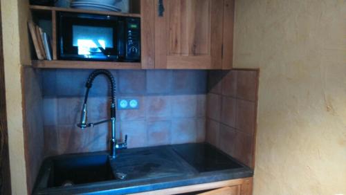 un comptoir de cuisine avec un évier et un micro-ondes dans l'établissement Gîtes Au Chant des Marmites, à Saint-Lary-Soulan