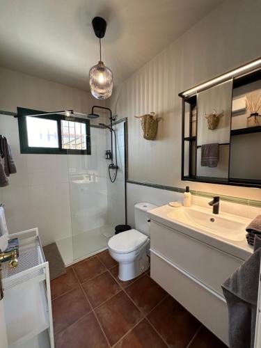 a bathroom with a toilet and a sink and a mirror at Villa Casa Gran Vida in Alcaucín
