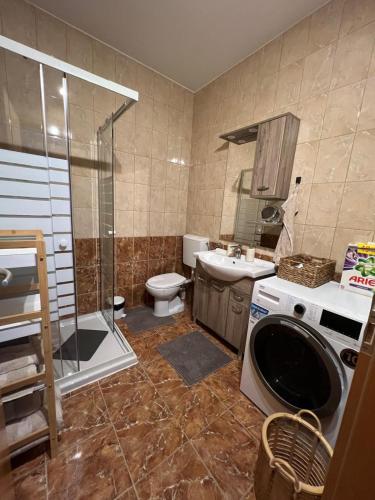 a bathroom with a shower and a toilet and a sink at CentralPark Suites in Maribor