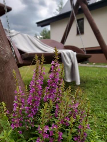 Jardín al aire libre en Leśna Chata Kaszuby