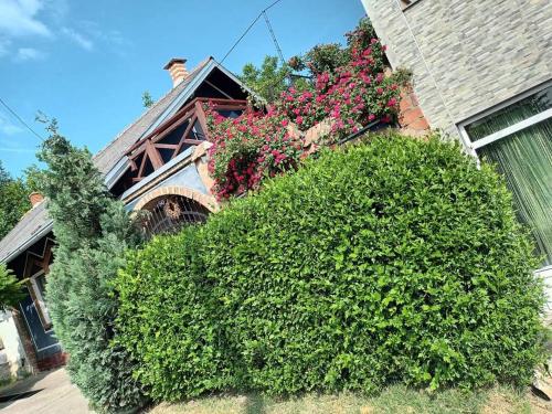 a large green bush in front of a house with flowers at Apartman Vrdničak in Vrdnik