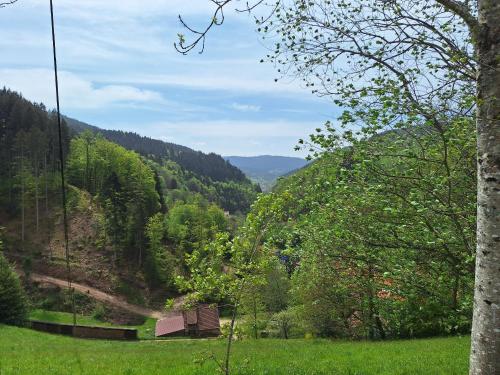 a view of a valley from a hill with trees at Wildnis- und Offroad Camp Schwarzwald in Bad Peterstal-Griesbach