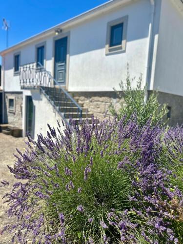 a building with purple flowers in front of it at Casa da Ribeira - Arouca in Lázaro