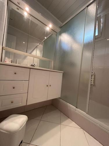 a bathroom with a shower and a toilet and a sink at CASSIS RDC Climatisé - Parking gratuit in Cassis