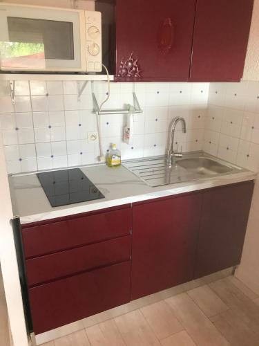 une cuisine avec un évier et un micro-ondes dans l'établissement Corsica studio Face à la mer Moriani plage, à San-Nicolao