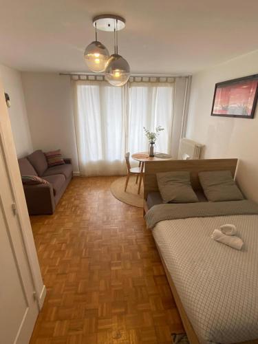 un salon avec un canapé et une table dans l'établissement T1 près de Paris Wifi/Netflix/Parking/Balcon, à LʼHay-les-Roses