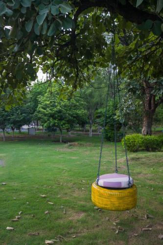 a swing hanging from a tree in a park at Elivaas 5 BHK with Pool, Tents & Pond - Kaimalgarh Farmstay in Bhundsi