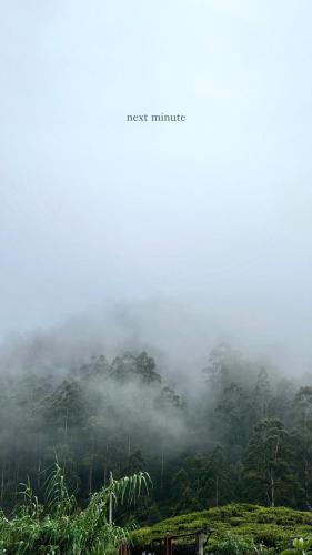 a foggy hillside with trees in the foreground and a mountain at The Paulwood cabana home stay in Nuwara Eliya