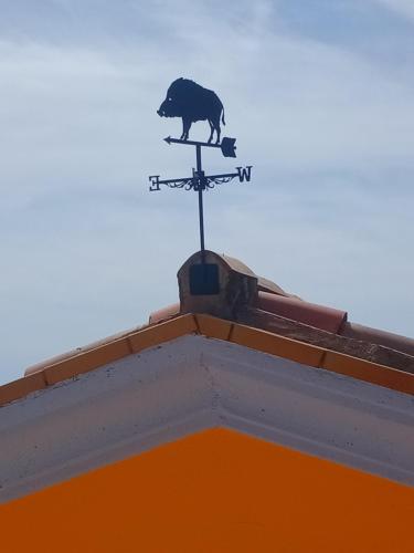 a cat on top of a weather vane on a roof at La Grotta Sardegna 3 Bedrooms in Urzulei