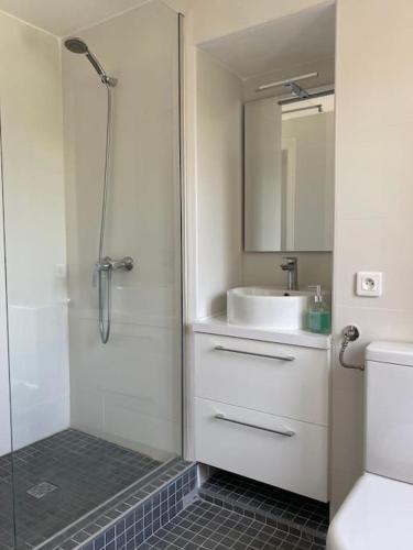 une salle de bain avec douche et lavabo dans l'établissement Appartement avec terrasse et vue mer, à Calcatoggio