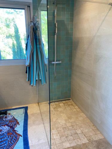 une salle de bain avec une douche avec une porte vitrée dans l'établissement les Alizés, à Marseille