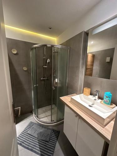 une salle de bain avec douche et lavabo dans l'établissement Californie, à Nice