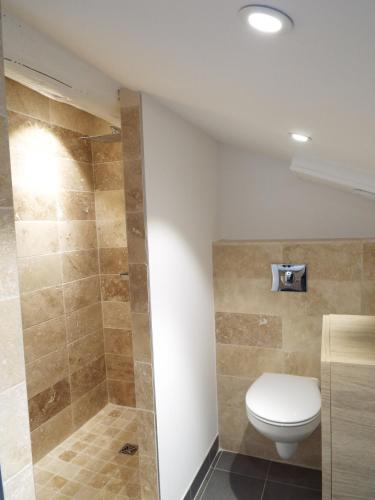 une salle de bain avec toilettes et douche dans l'établissement Valentins cottage Moulin de Tartay Avignon, à Avignon