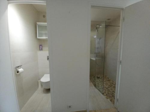 une salle de bain avec toilettes et douche en verre dans l'établissement Studio with sea view, à Cannes