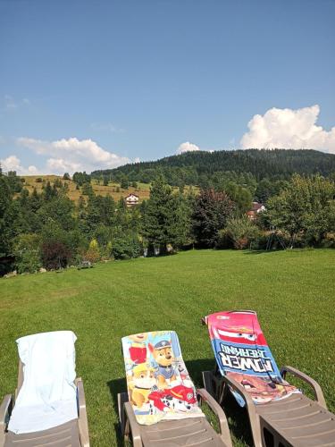 two lawn chairs sitting on the grass in a field at Ośrodek Wczasowy Wierchy in Korbielów