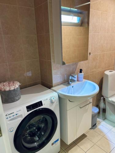 a bathroom with a washing machine and a sink at Armas korter Viljandi südames! in Viljandi