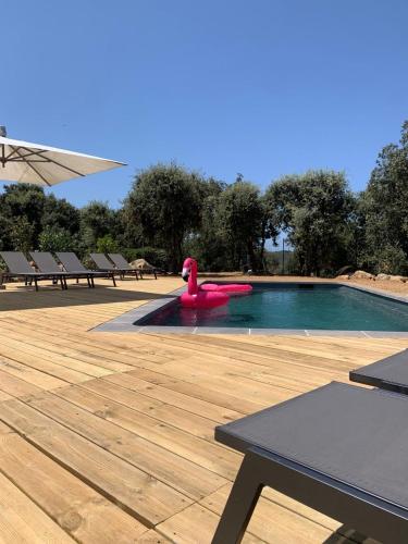 Πισίνα στο ή κοντά στο Résidence 3 étoiles Pietra Gemina - Appartements de vacances, au calme, avec Piscine