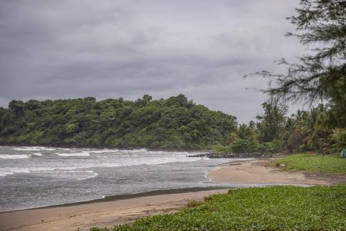 a beach with a bunch of trees and the ocean at Talpona Beach Studios in Canacona