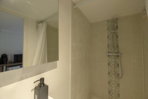 une salle de bain avec une douche avec un lavabo et un miroir dans l'établissement L'Authentique, à Rennes