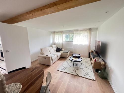 Grand Appartement centre