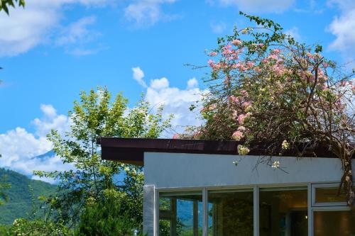 a house with a flowering tree on top of it at OwlStay Green Villa in Pinghe