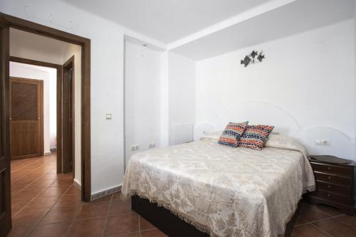 Cenuela ID29