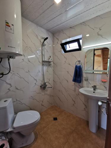 a bathroom with a toilet and a sink at Heshkili Cottages in Mestia