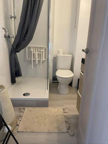 une petite salle de bain avec toilettes et douche dans l'établissement Coeur de Toulouse, appartement paisible et charmant, à Toulouse