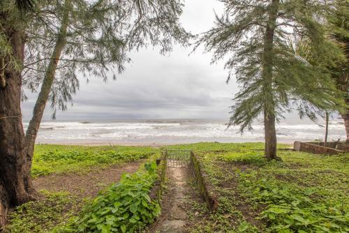 a dirt path leading to a beach with trees at Seaview White beach Villa on Talpona in Magdāl