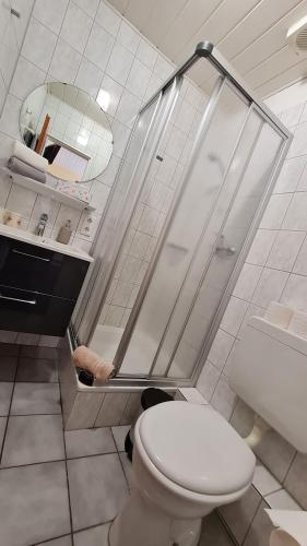 a bathroom with a shower and a white toilet at Pension Sandra in Neuharlingersiel