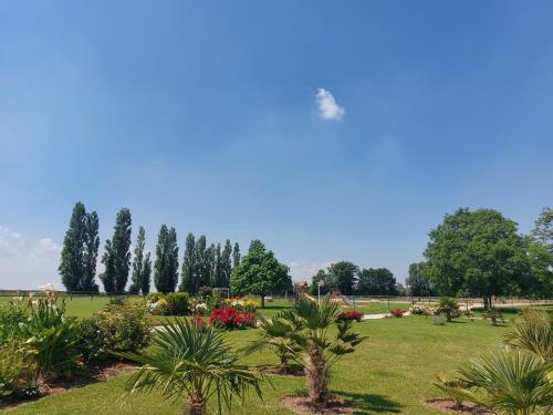 Φωτογραφία από το άλμπουμ του Domaine De Soignolles σε Soignolles