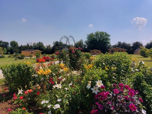 Φωτογραφία από το άλμπουμ του Domaine De Soignolles σε Soignolles