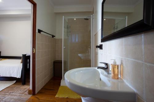 a bathroom with a sink and a shower and a mirror at Mar Azul 18 in Ponta Malongane