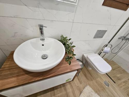 une salle de bain avec un lavabo blanc et des toilettes dans l'établissement Agora Luxury Villa II, à Loutraki