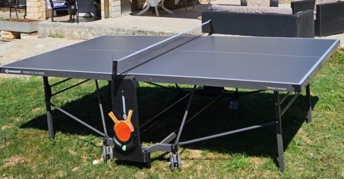 Stolní tenis v ubytování Villa DTS3 nebo okolí