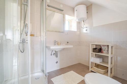 a bathroom with a shower toilet and a sink at Pinta Apartments in Lumbarda