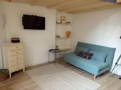 un salon avec un canapé bleu et une télévision dans l'établissement Charmant studio avec cour en centre-ville, à Nîmes