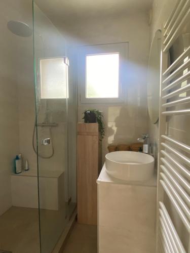 une salle de bain avec toilettes et douche en verre dans l'établissement Appartement avec jardin à 2 pas du lac, à Aix-les-Bains