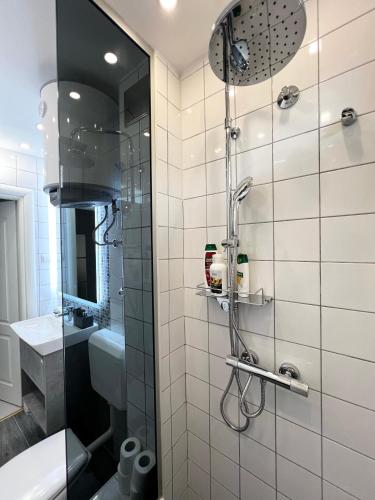 a bathroom with a shower and a toilet and a sink at No1 Apartments in heart of Sarajevo in Sarajevo