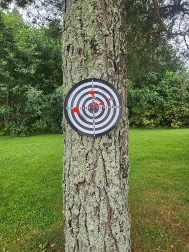 a target stuck in the side of a tree at House and guest house with sauna by the sea in Närpiö