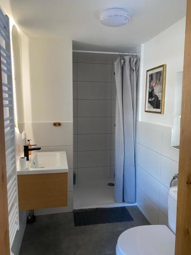 Rosenau am HengstpassにあるSacherl am Bacherlのシャワー、洗面台、トイレ付きのバスルーム