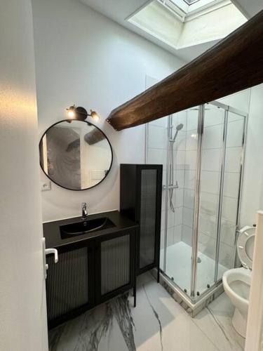 une salle de bain avec une douche, un lavabo et un miroir dans l'établissement Le Rooftop - Terrasse vue Cathédrale - Netflix, à Orléans