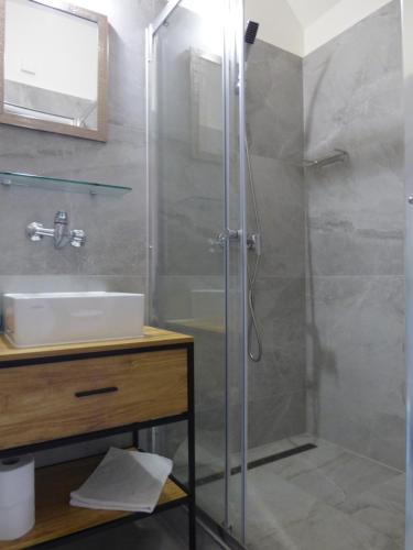 a bathroom with a shower and a sink at Hotel Svornost in Prague