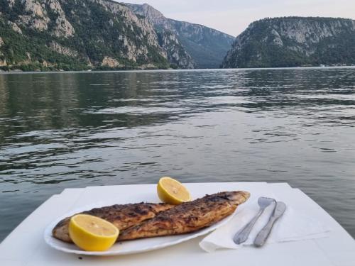 Billede fra billedgalleriet på Casa Victor Cazanele Dunarii i Dubova