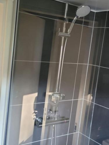 Ein Badezimmer in der Unterkunft fågel