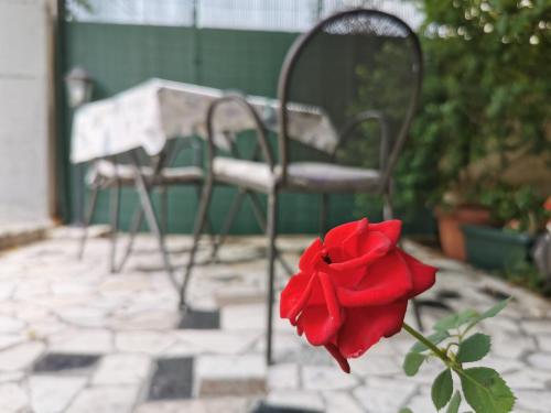 a red rose is in front of a chair at Apartment Adriana in Seget Vranjica