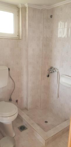 a bathroom with a shower and a toilet at Seaview Apartments Petalidi in Petalidhion