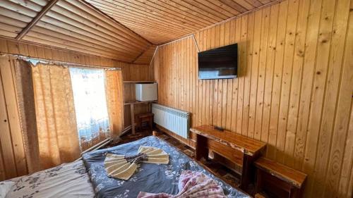 TV a/nebo společenská místnost v ubytování Ялинка