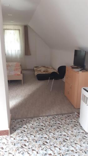 a room with two beds and a television in it at Borostyán Vendégház in Tiszaug