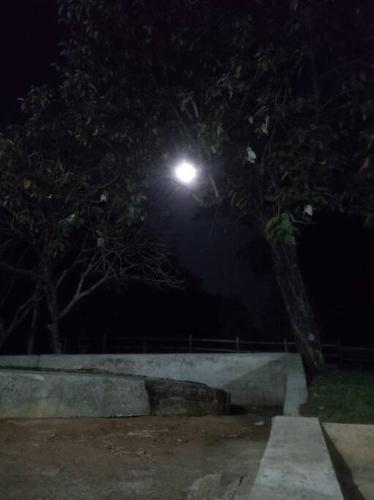 a street light at night with a tree at Exclusivo Haras Marilu! in Atibaia